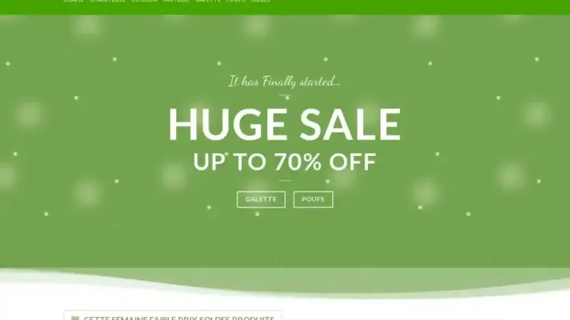 Screenshot of Non-Delivery scam website Soldesieges.com