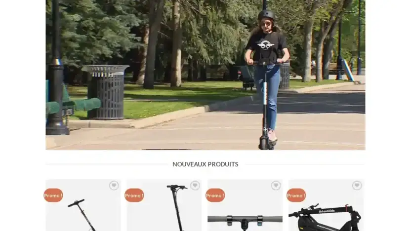 Screenshot of Non-Delivery scam website Soldeskates.com