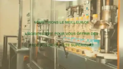 Screenshot of Non-Delivery scam website Soproicam.com