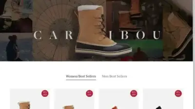 Screenshot of Non-Delivery scam website Soreloff.shop