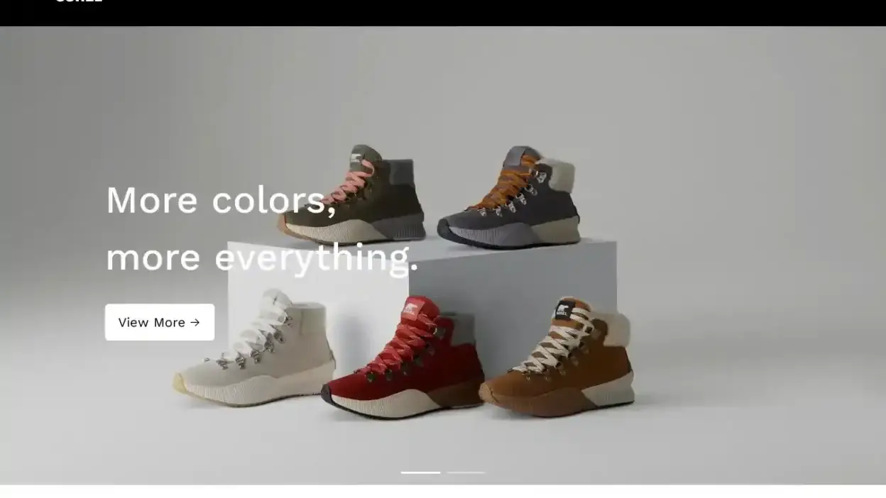 Screenshot of Non-Delivery scam website Sorril.com