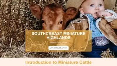 Screenshot of Commodity scam website Southcreastminiaturehighlands.com