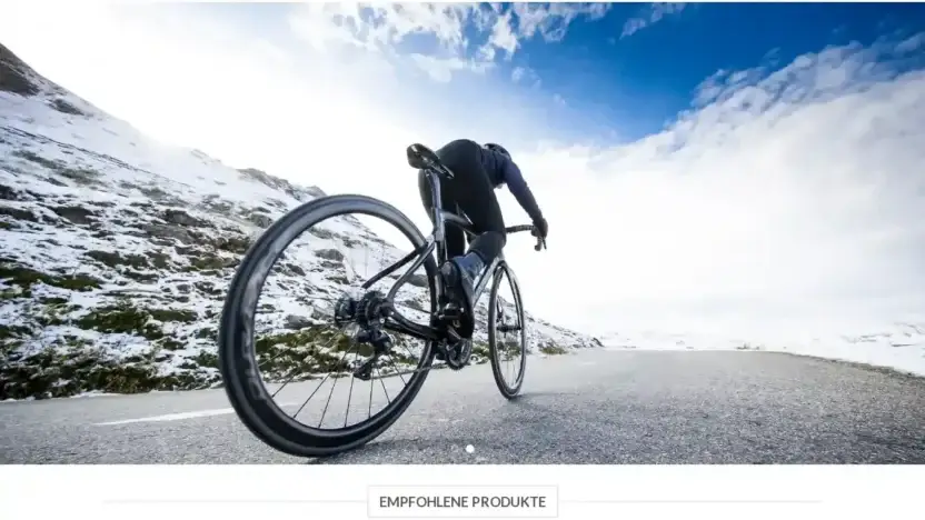 Screenshot of Sport scam website Sparfahrradbike.com