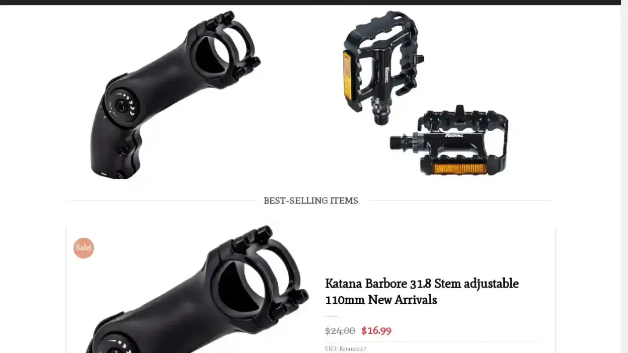 Screenshot of Non-Delivery scam website Sportkatana.com