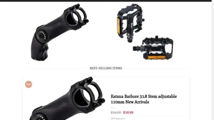 Screenshot of Non-Delivery scam website Sportkatana.com