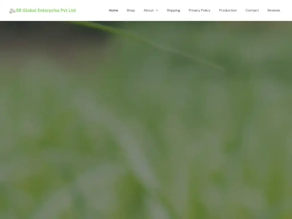 srglobalenterprisepvtltd-in Alternative Text