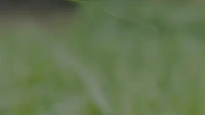 Screenshot of Automobile scam website Srglobalenterprisepvtltd.in