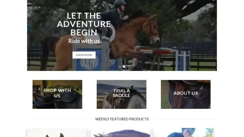 Screenshot of Non-Delivery scam website Statelinetack.shop