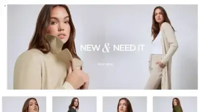 Screenshot of Non-Delivery scam website Statuesquesally.shop