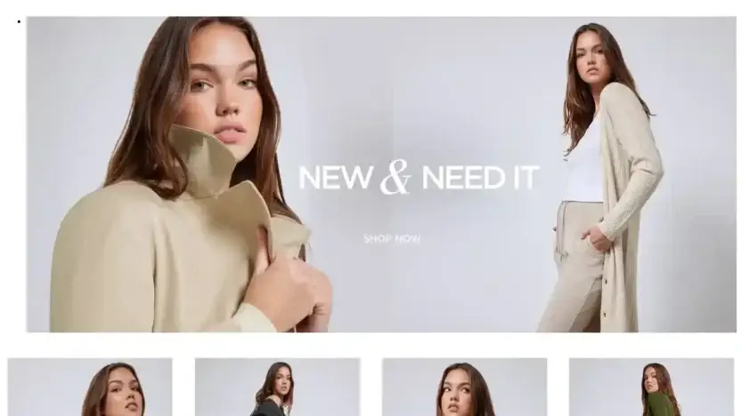 Screenshot of Non-Delivery scam website Statuesquesally.shop