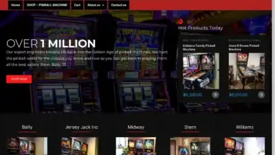 Screenshot of Non-Delivery scam website Sternpinbals.com