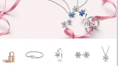 Screenshot of Non-Delivery scam website Storesalevip.shop