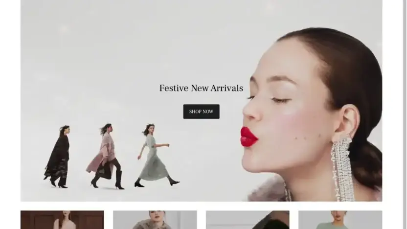 Screenshot of Non-Delivery scam website Stories-eu.com