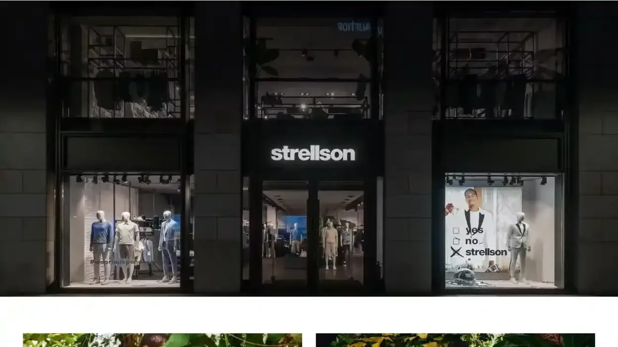 Screenshot of Non-Delivery scam website Strellsonshop.shop