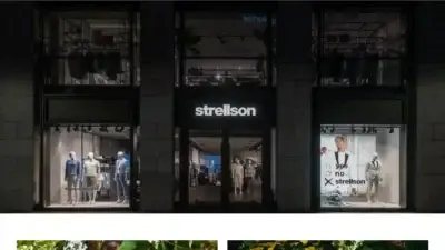 Screenshot of Non-Delivery scam website Strellsonshop.shop