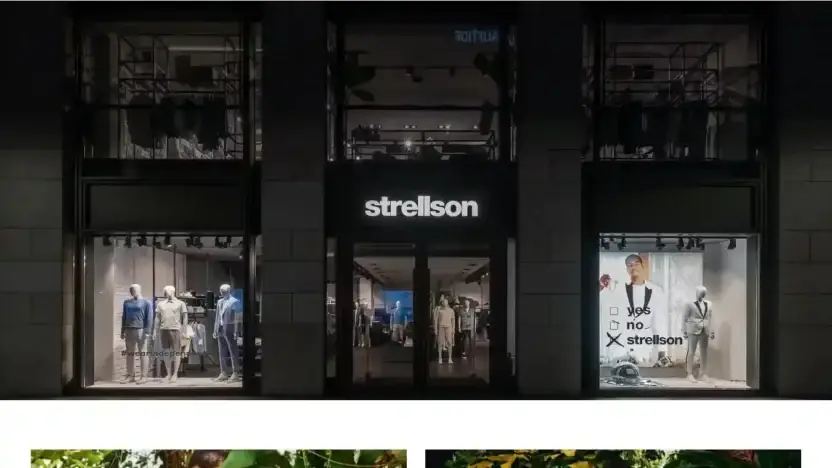 Screenshot of Non-Delivery scam website Strellsonshop.shop