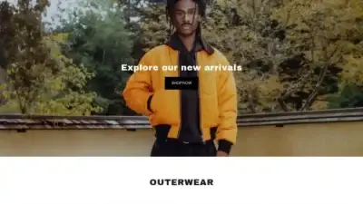 Screenshot of Fashion scam website Stussynew.com