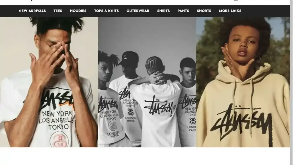 Screenshot of Non-Delivery scam website Stussyvibe.shop