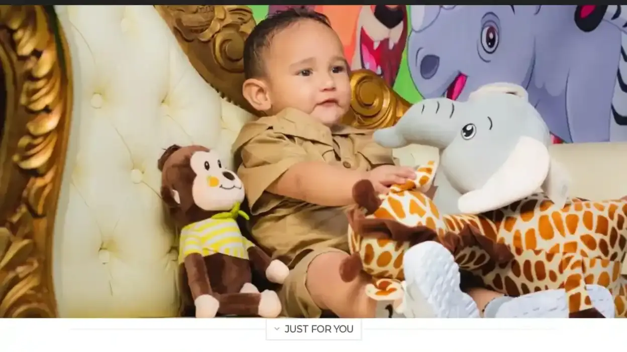 Screenshot of Non-Delivery scam website Stylishuschild.com