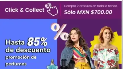 Screenshot of Non-Delivery scam website Suboole.com