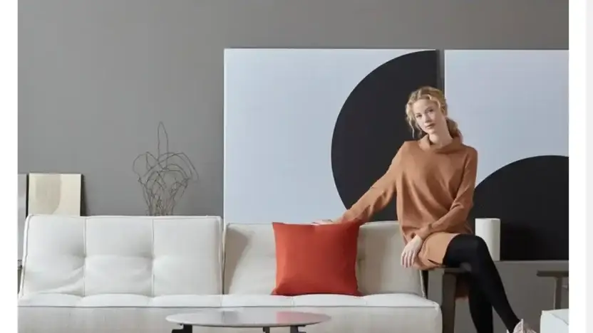 Screenshot of Non-Delivery scam website Successshome.com