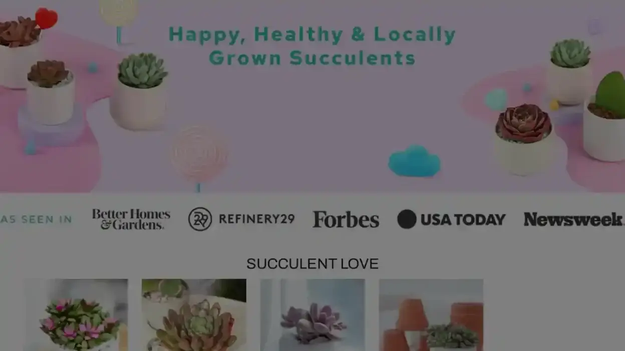 Screenshot of Non-Delivery scam website Succulentsbox.online