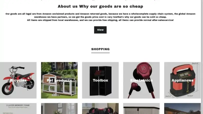 Screenshot of Non-Delivery scam website Superfactory.store