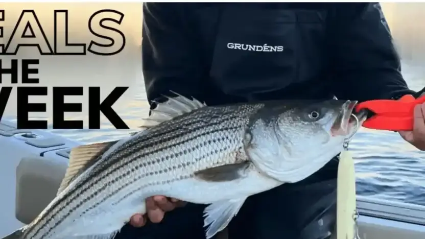 Screenshot of Non-Delivery scam website Superfishingmaster.com