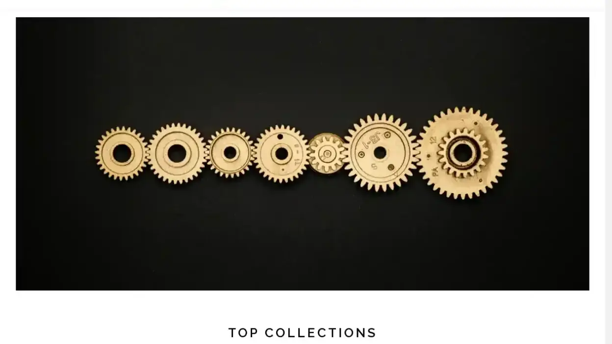 Screenshot of Non-Delivery scam website Supportaccessoriesshop.com