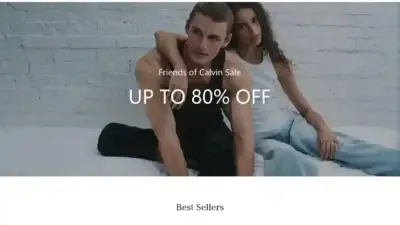 Screenshot of Non-Delivery scam website Svipsaleck.com