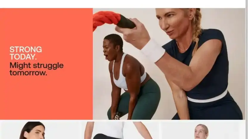 Screenshot of Non-Delivery scam website Sweatywarehouse.store