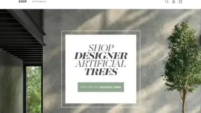 Screenshot of Non-Delivery scam website Sxseroe.com