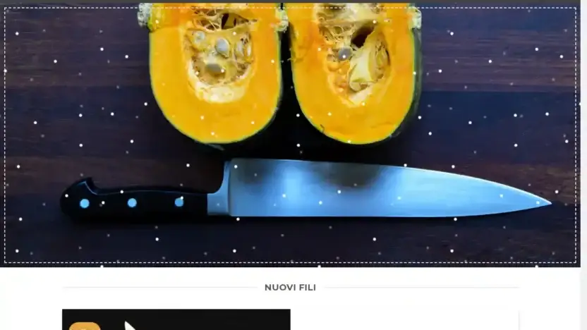 Screenshot of Non-Delivery scam website Tagliareincucina.com