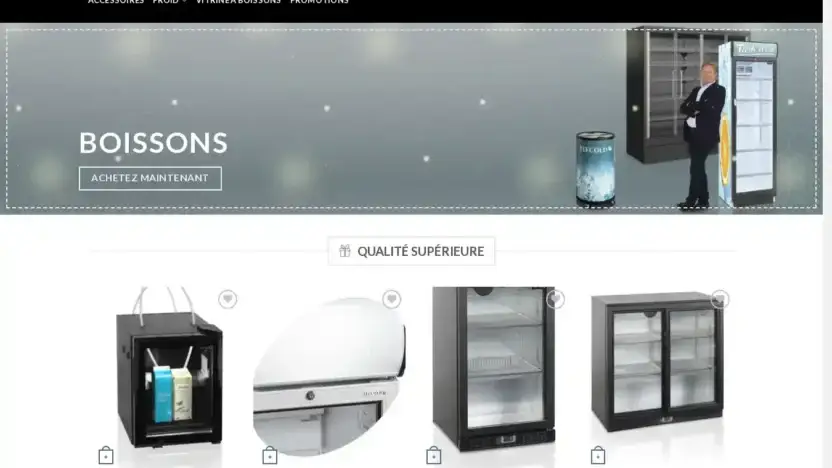 Screenshot of Non-Delivery scam website Tefcoldsolde.com