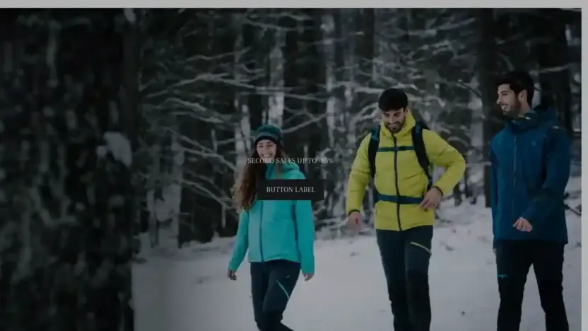 Screenshot of Non-Delivery scam website Ternuashopping.shop