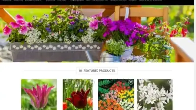 Screenshot of Non-Delivery scam website Terrassesbalcons.com