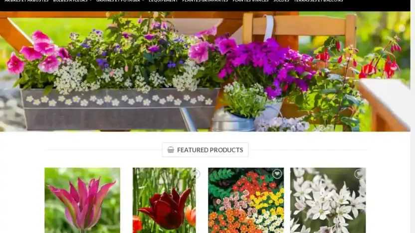 Screenshot of Non-Delivery scam website Terrassesbalcons.com
