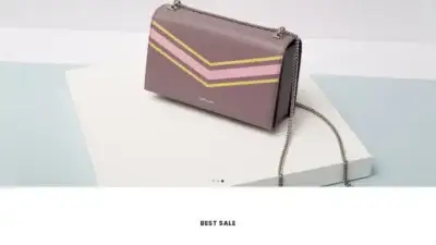 Screenshot of Fashion scam website Thebagclearance.com