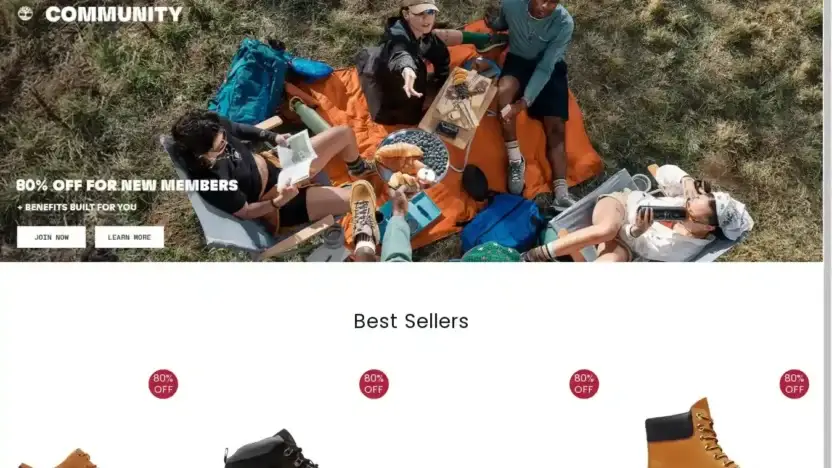 Screenshot of Non-Delivery scam website Timborlend.com