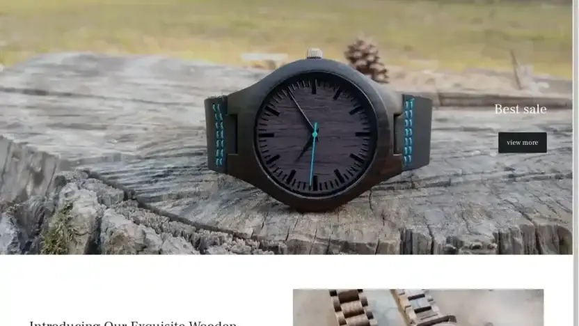 Screenshot of Non-Delivery scam website Timeflash.store