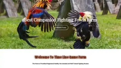 Screenshot of Non-Delivery scam website Timelinegamefarm.com