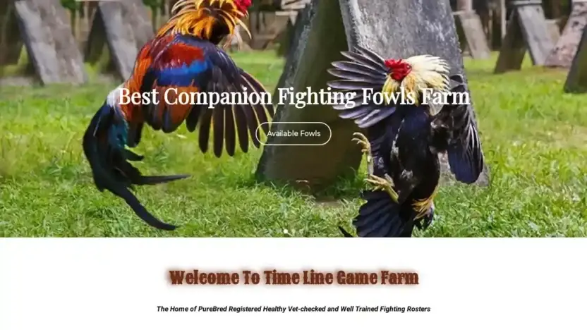 Screenshot of Non-Delivery scam website Timelinegamefarm.com