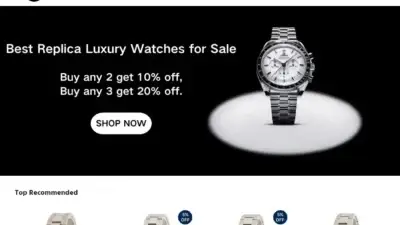 Screenshot of Non-Delivery scam website Timestis.com