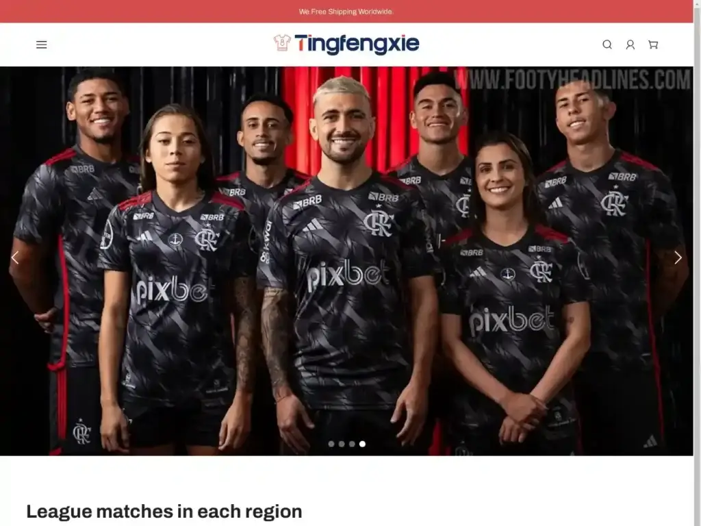 tingfengxie-com Alternative Text