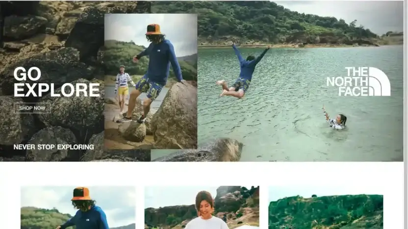 Screenshot of Non-Delivery scam website Tnfeashop.com