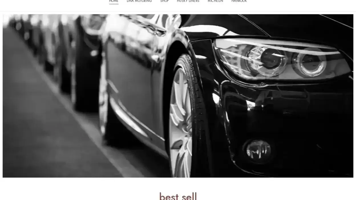 Screenshot of Non-Delivery scam website Toolcarmaster.com