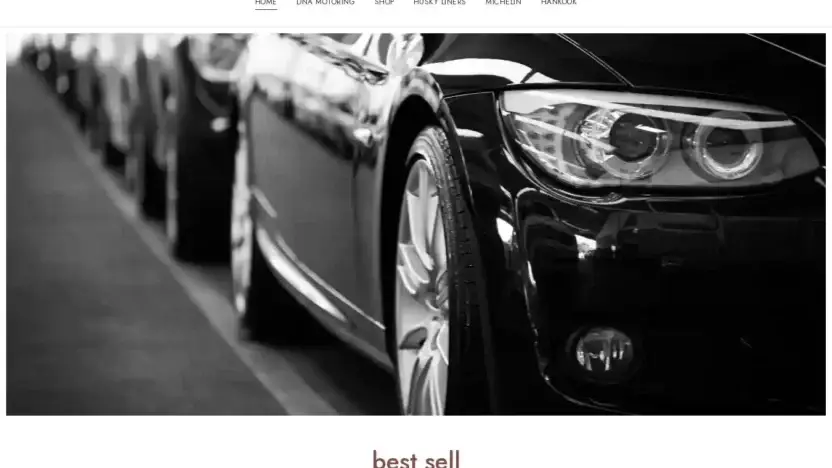 Screenshot of Non-Delivery scam website Toolcarmaster.com