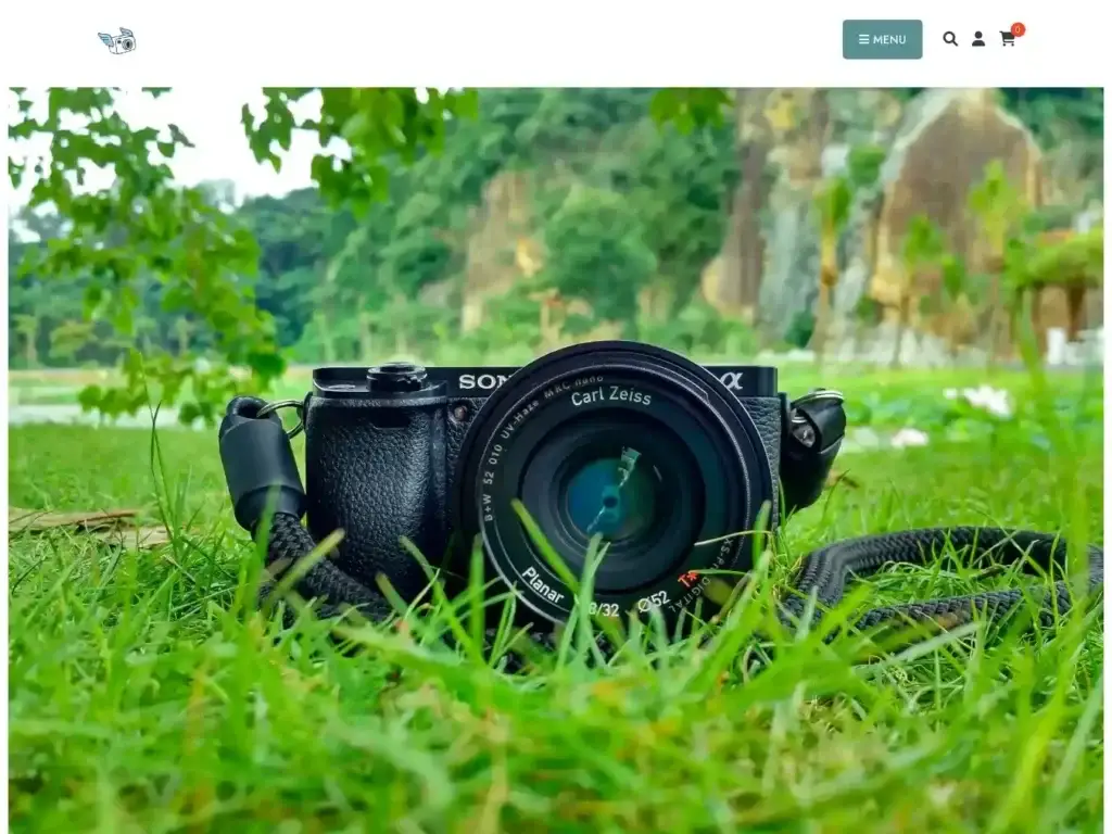 topingcamera-com Alternative Text