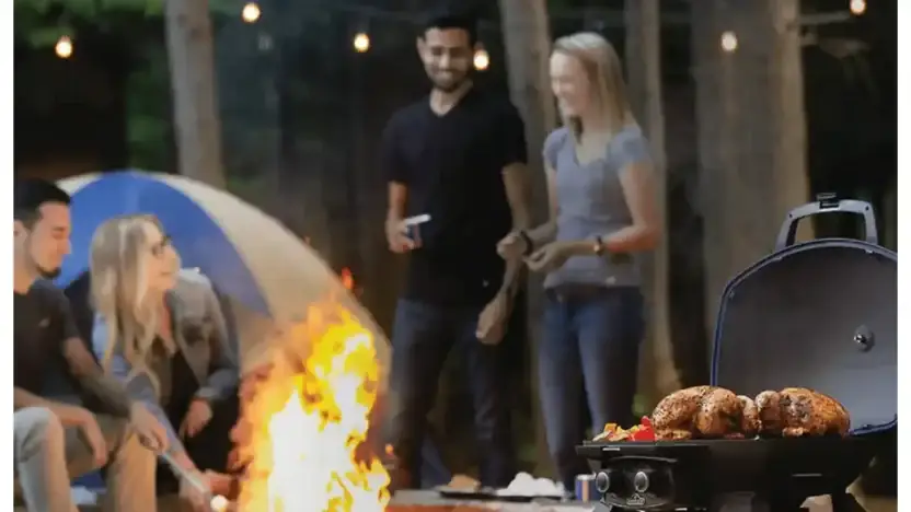 Screenshot of Non-Delivery scam website Topoutdoorsgoods.com