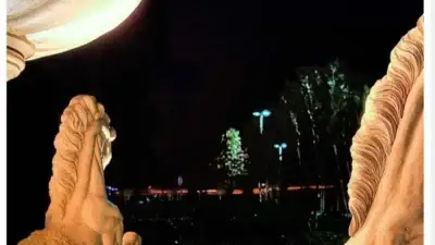 Screenshot of Non-Delivery scam website Topratedcollectible.com